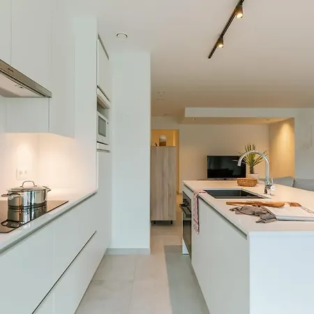 Huswell - New In With Terrace Apartment Nieuwpoort